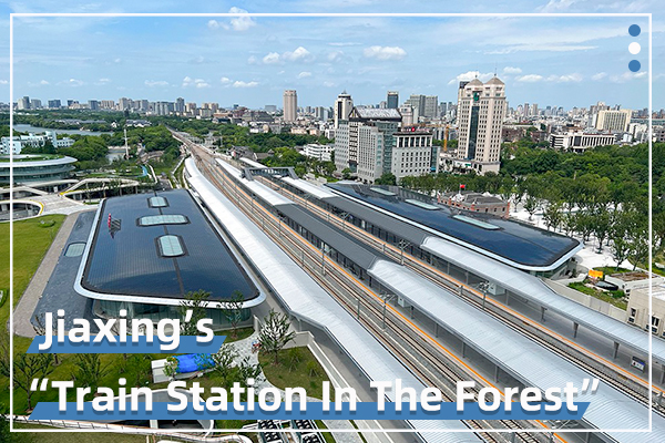 Cover - Jiaxings Train Station In The Forest.jpg