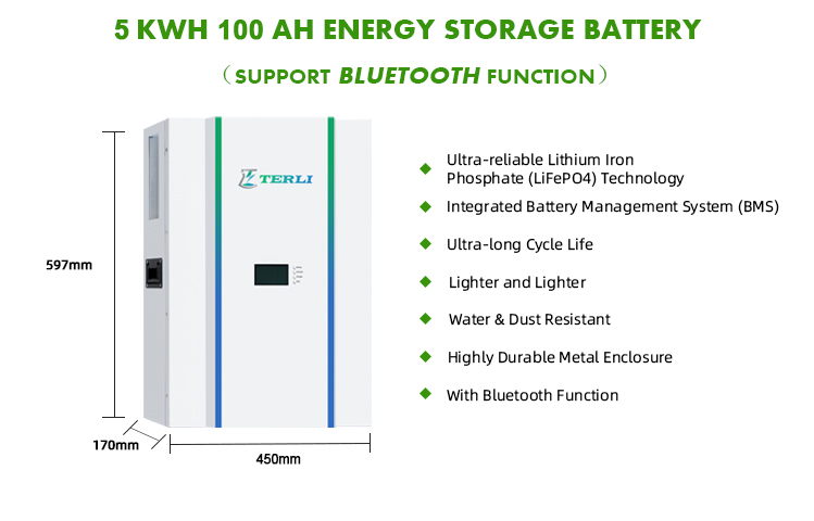 lithium ion battery powerwall
