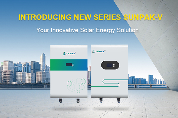 Introducing New Series Sunpak-V: your innovative solar energy solution