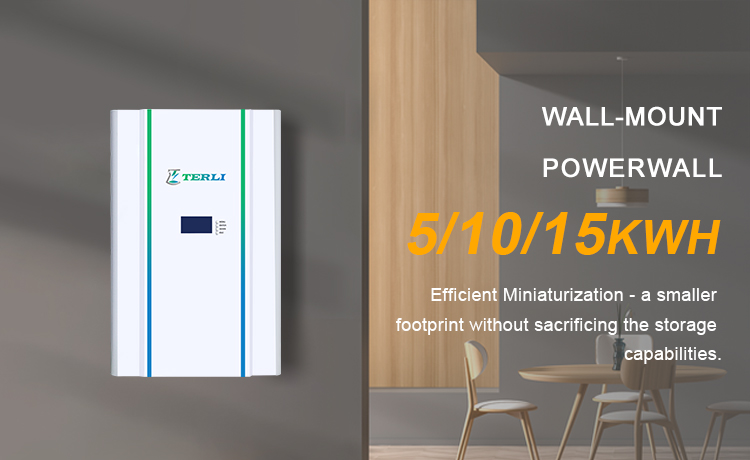 2 - Introducing the Brand New Gaia-S Wall-Mounted Lithium Battery Series