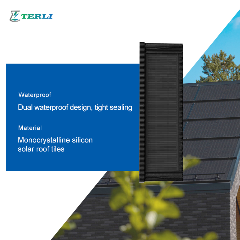 TL-L Solar Roof (7).jpg