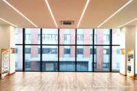 office dayhting systems