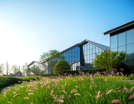 All Black Solar Glass Facade