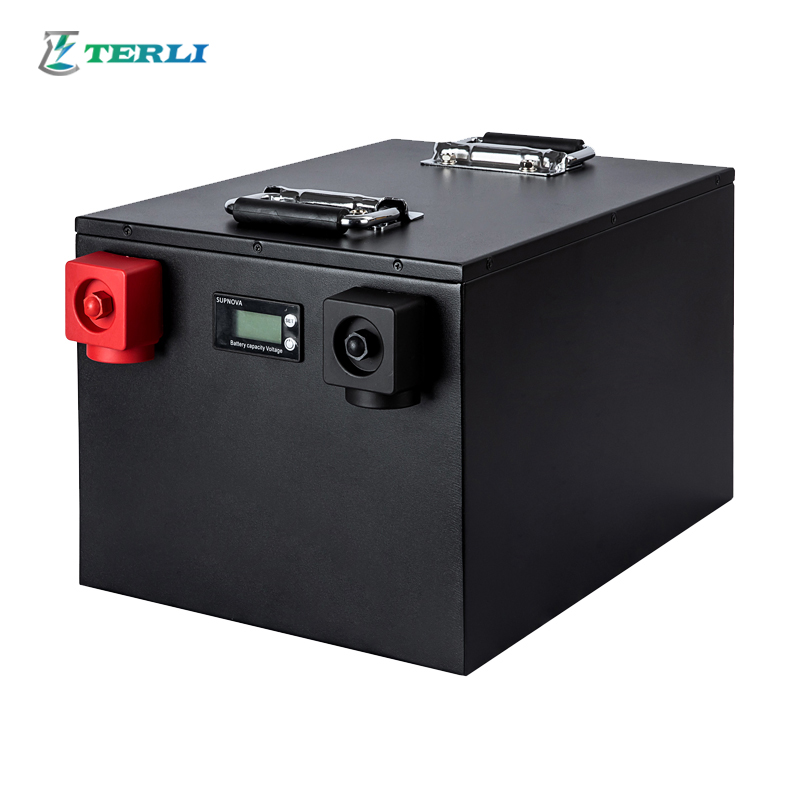 Rechargeable OEM 24V Lithium Battery Touring Car