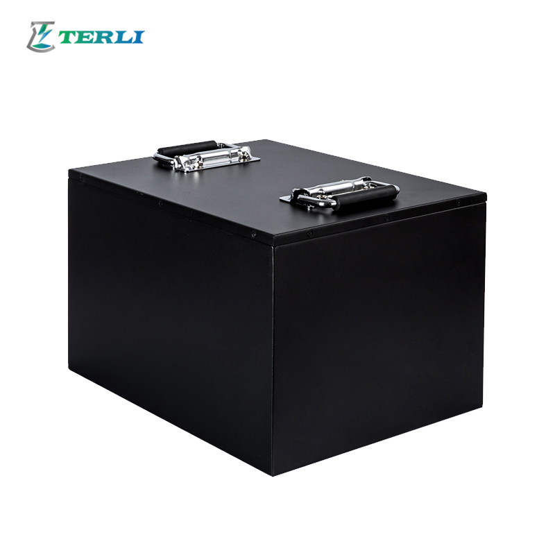 Rechargeable OEM 24V Lithium Battery Touring Car