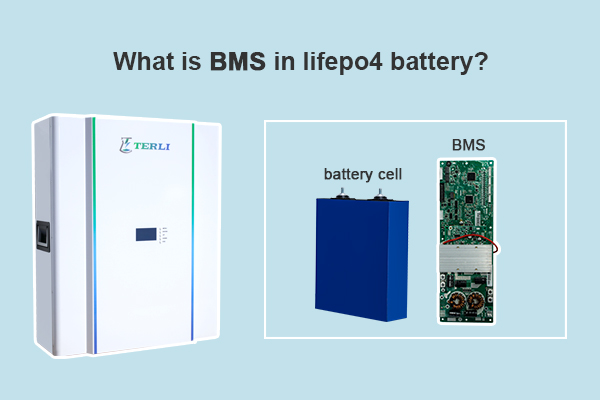 What is BMS in lifepo4 battery?