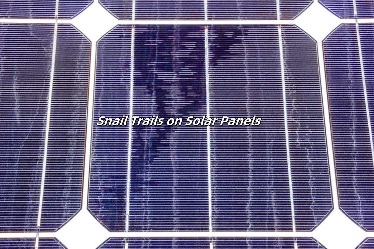 Snail Trails on Solar Panels
