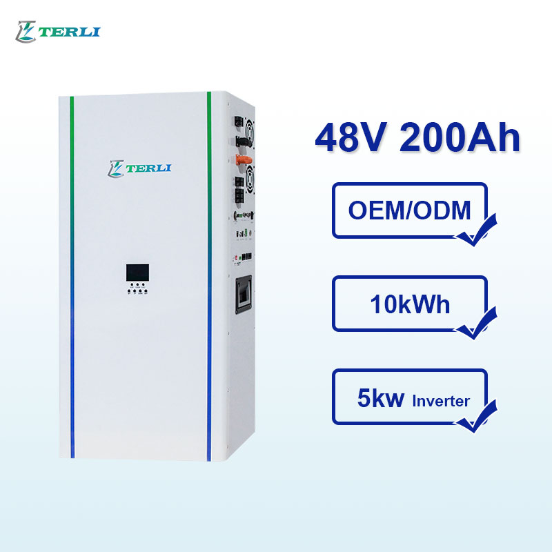 Wholesale Price All in One Terli 48V Powerwall Battery