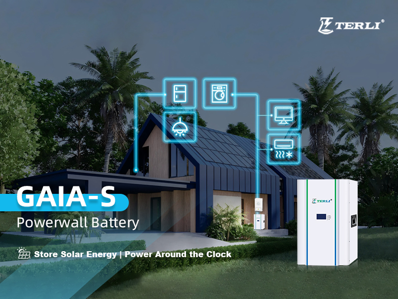 Bulgaria Standard Home Energy Storage Integration with Local Inverter (2)