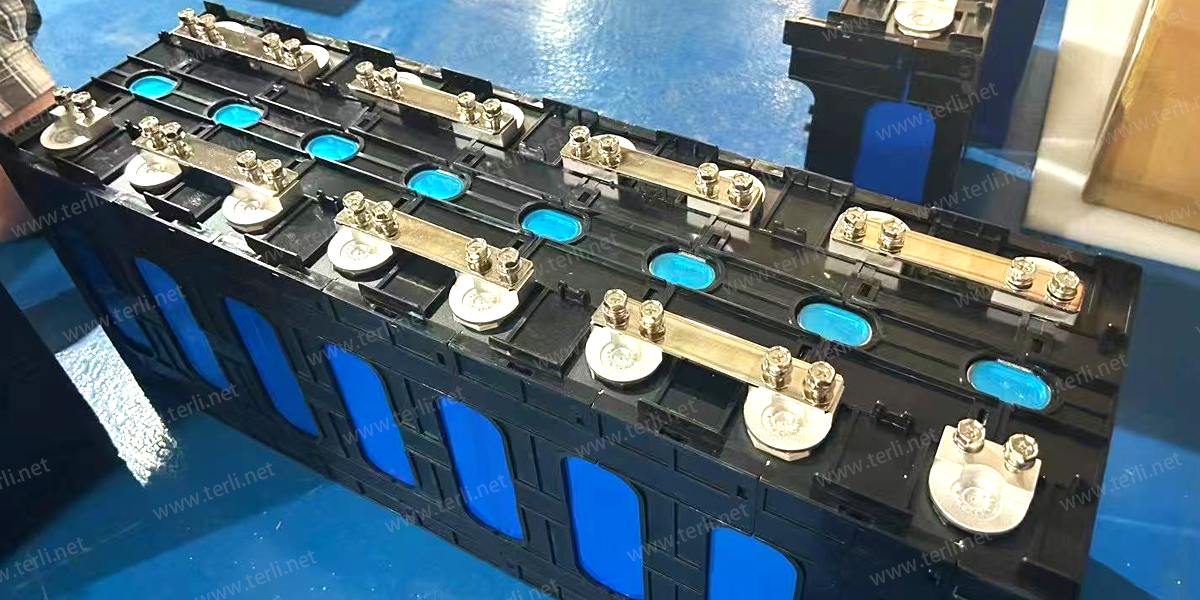 1 - Terli Professional OEM Battery Manufacturing Facility in China (3)