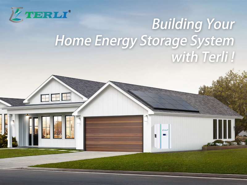 9 - Building Your Home Energy Storage System with Terli