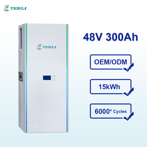 Terli Lithium Ion LiFePO4 Battery 48V 300Ah Rechargeable Lithium Power Batteries
