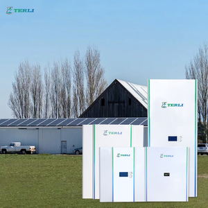 Customized 48V Home Solar Energy Storage Powerwall 