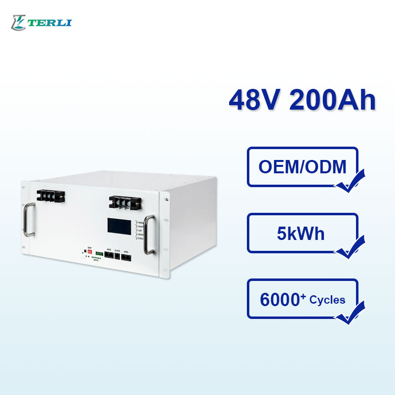 Wholesale Price All in One Terli 48V Powerwall Battery