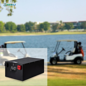 Rechargeable Phosphate 48V Lithium Battery