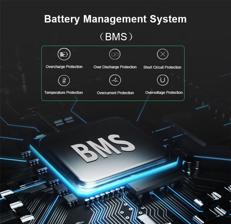 BMS-1.jpg