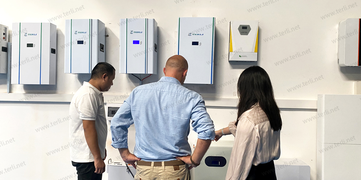 Exploring One-Stop Solar + Storage Solutions (3)
