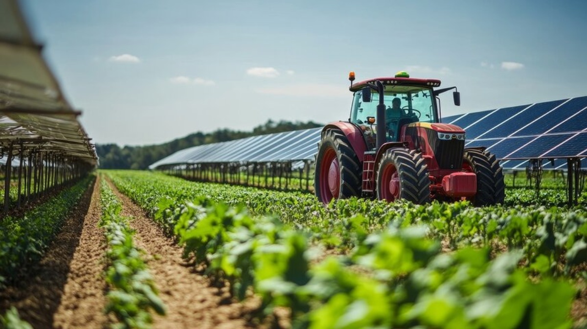 Agrivoltaics: The Complete Guide to Combining Solar Energy and Agriculture for Sustainable Farming