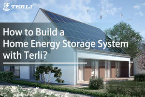 cover - How to Build a Home Energy Storage System with Terli？.jpg