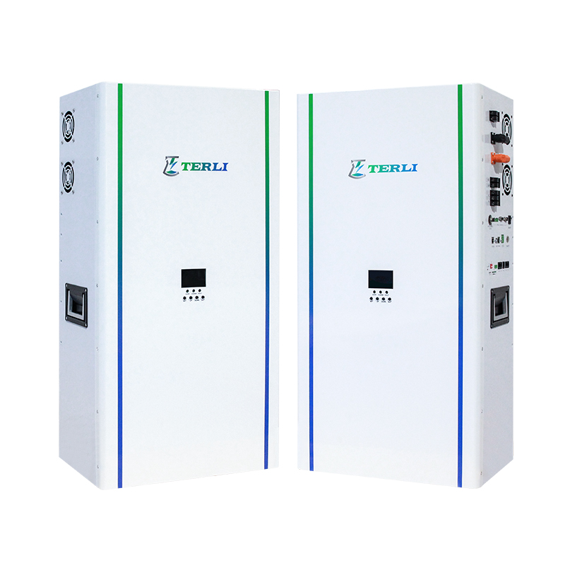 Terli 10Kwh All In One Power Wall Lithium Lifepo4 Storage Battery