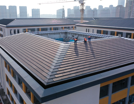 Longshan Academy