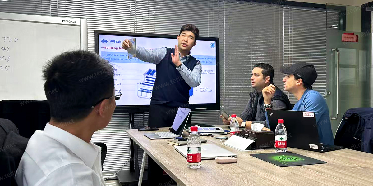 3 - A collaborative design session was held with TERLIs in-house architectural team, where both parties exchanged ideas on fa&ccedil;ade structure, glass specifications, energy eff