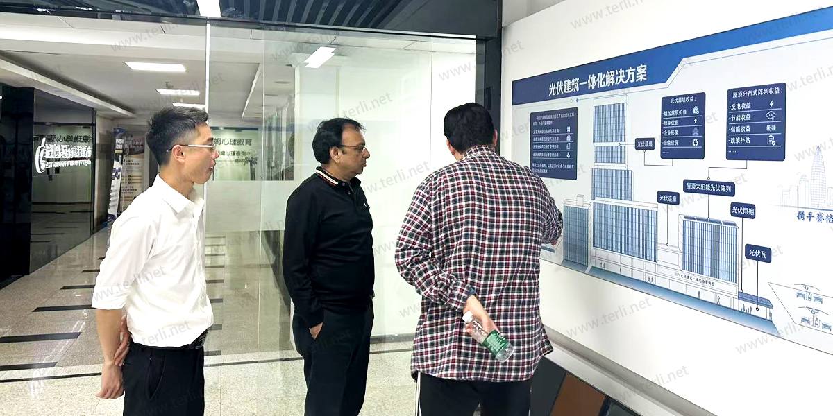 Indian Supplier Visits TERLI to Compare Monocrystalline and CdTe Solar Glass for Local Market (5)