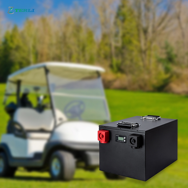Energy OEM 24V Lithium Battery for Golf Cart
