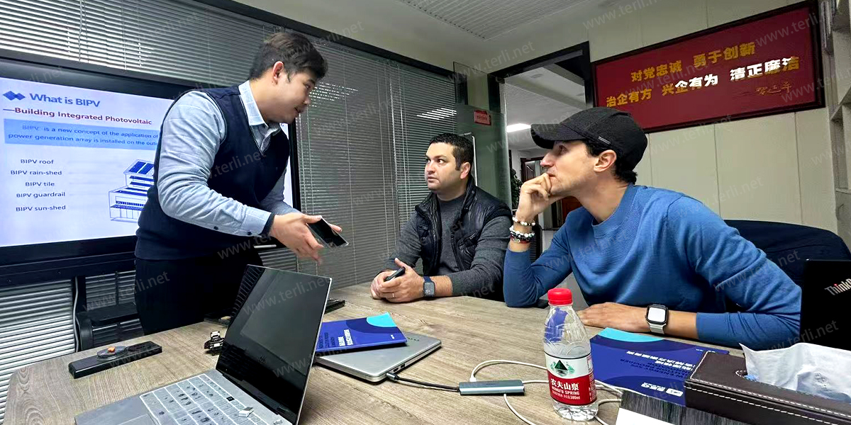 3 - A collaborative design session was held with TERLIs in-house architectural team, where both parties exchanged ideas on fa&ccedil;ade structure, glass specifications, energy effic (1)
