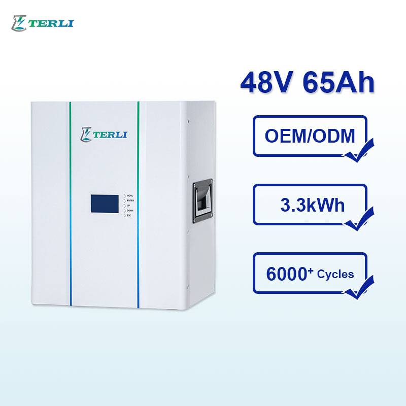 48V Solar Battery 65ah Free Maintenance Sealed Deep Cycle Solar